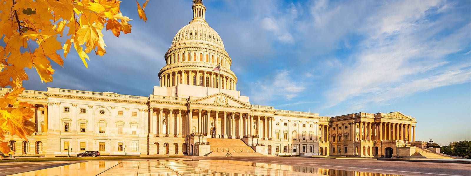 Trump Releases Revised Tax Plan Independent Sector