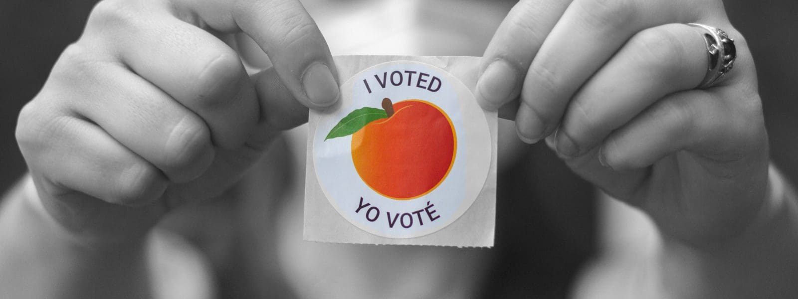 Among the Victories in Senate Elections Nonprofit Outreach to Voters Independent Sector