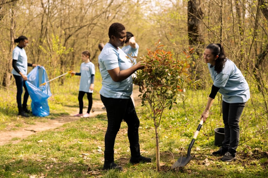 A group of community service volunteers plant a tree together while others pick up trash in the background.