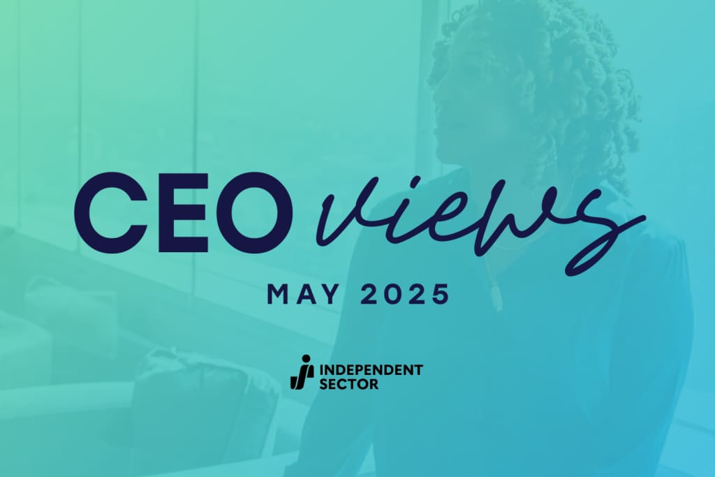 CEO Views May 2025