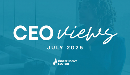 CEO Views July 2025 CEO Views July 2025